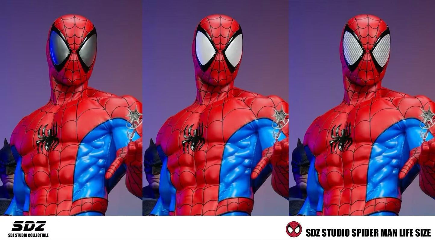 SDZ Studio - Comics Classic Spider Man | 漫画经典 蜘蛛侠