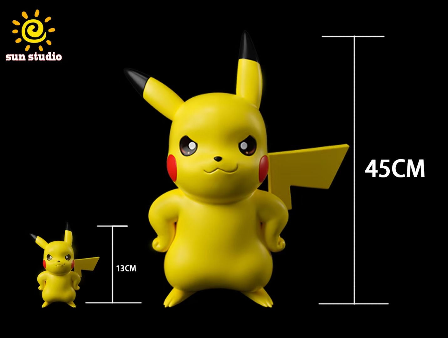 Sun Studio - Captain Pikachu | 船长皮卡丘