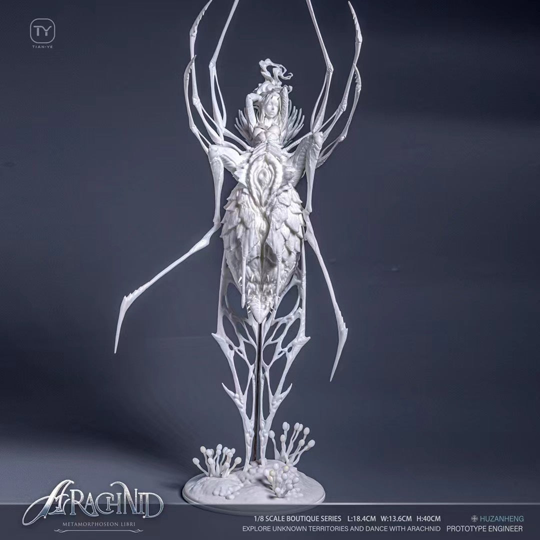 Tian Ye Studio - OC Spider Arachnid | OC 蜘蛛 Arachnid
