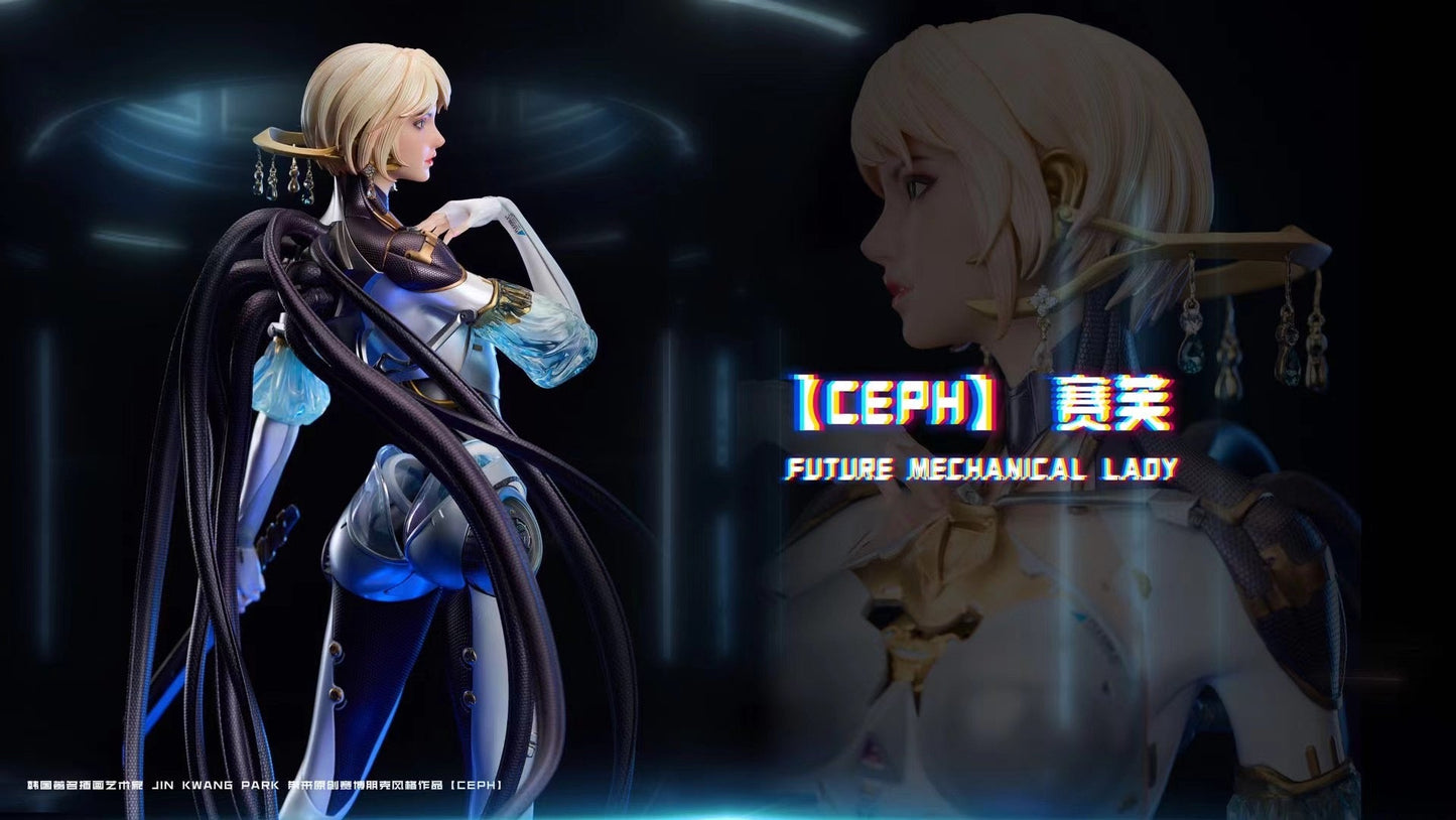 Wing Dimension × Polaris Studio - Licensed CEPH | 版权 赛芙