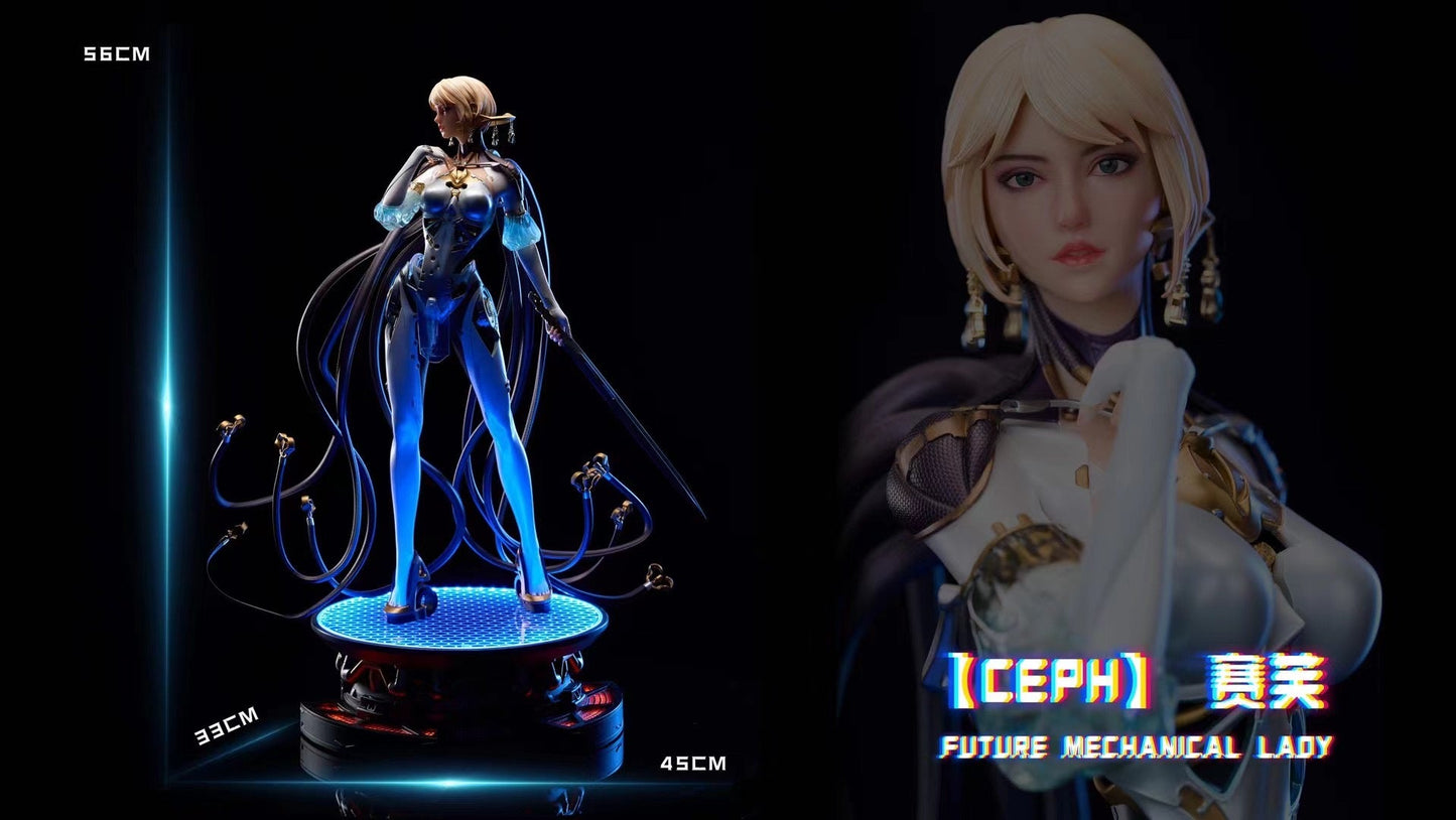 Wing Dimension × Polaris Studio - Licensed CEPH | 版权 赛芙