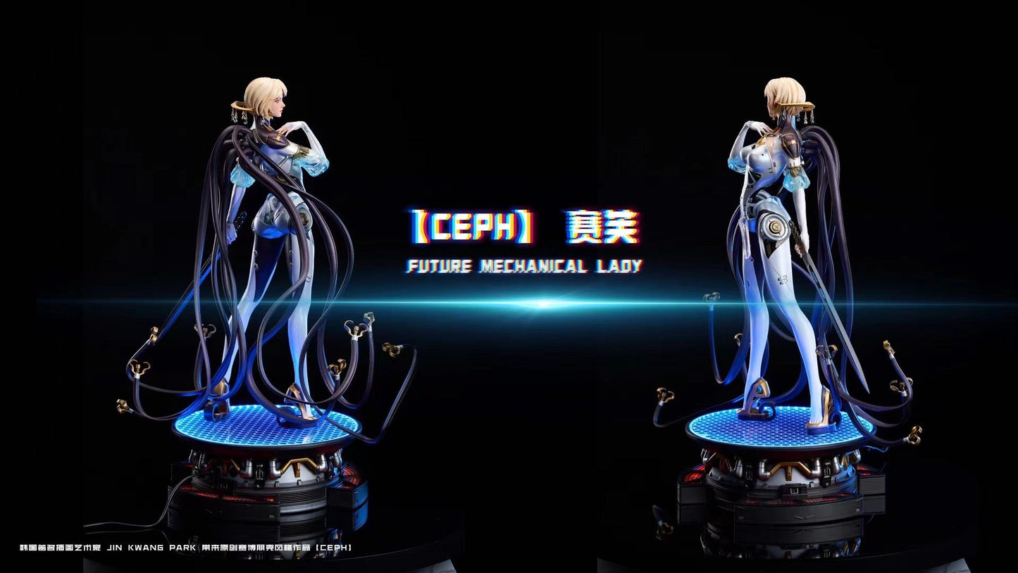 Wing Dimension × Polaris Studio - Licensed CEPH | 版权 赛芙