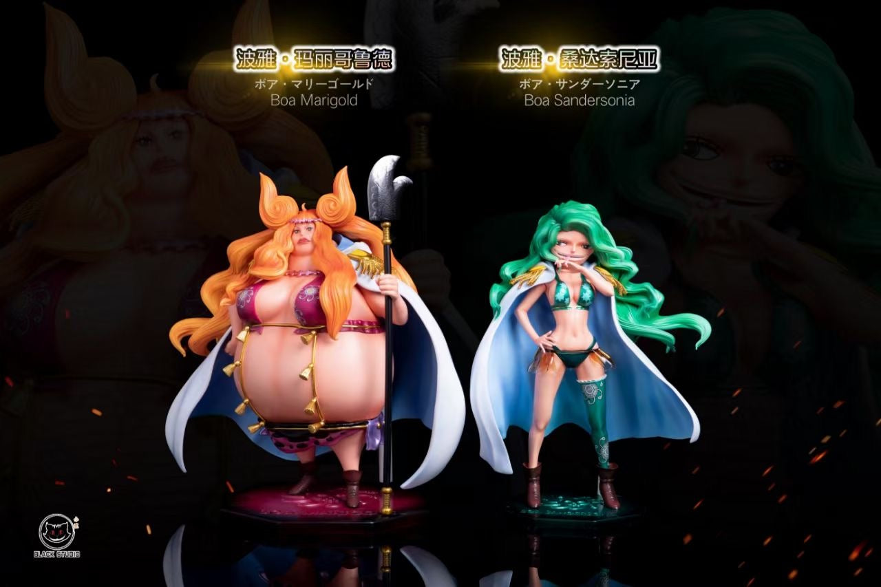 Black Studio - Boa Sandersonia & Boa Marigold | 波雅·桑达索尼亚 & 波雅·玛丽哥鲁德