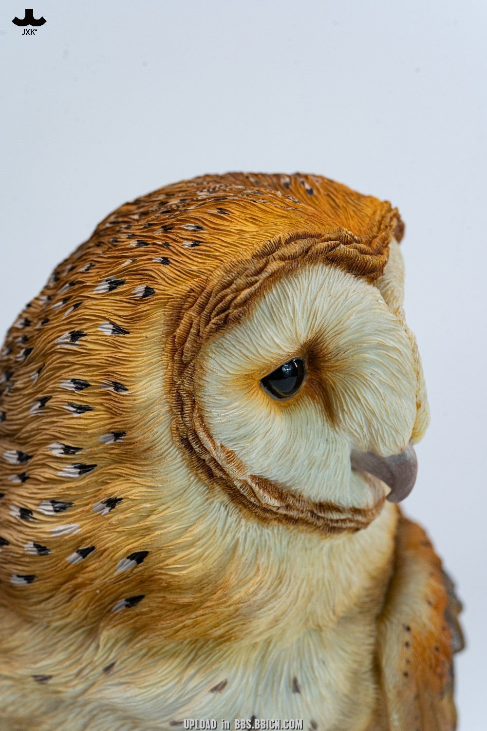 JXK - Barn Owl Head Sculpture SA005 (Licensed)
