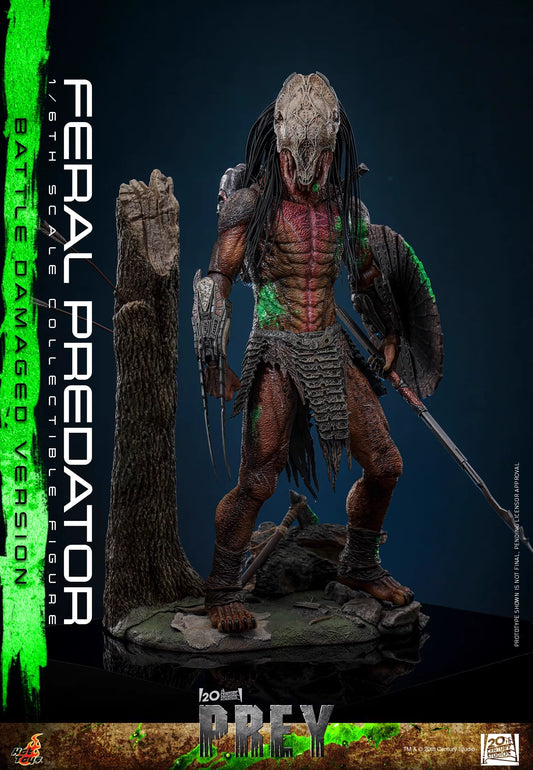 【Pre-sale】1/6 Scale TMS173 Feral Predator-HotToys Studio
