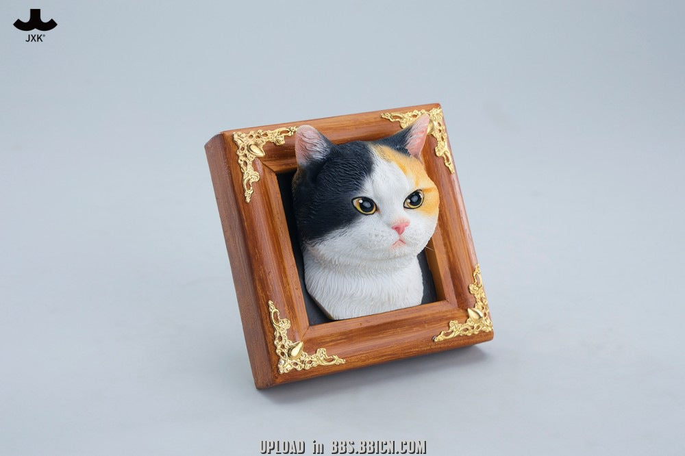 JXK - Gentle-eyed country cat JS2607 (Licensed)