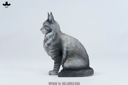 JXK - Sitting upright Maine Coon cat JXK364 (Licensed)