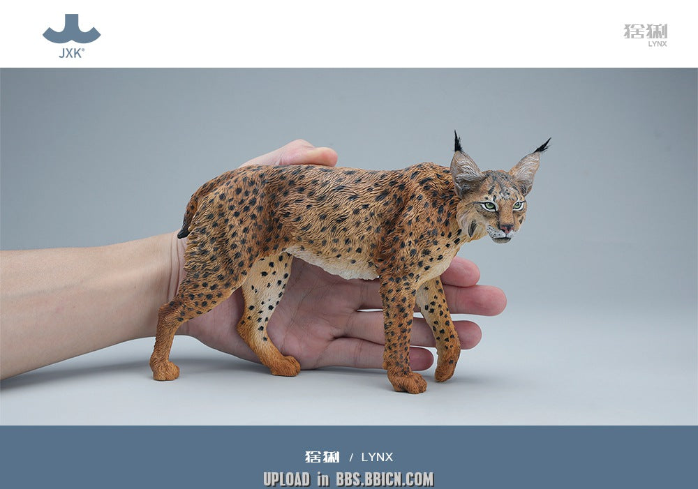 JXK - Lynx JXK361 (Licensed)