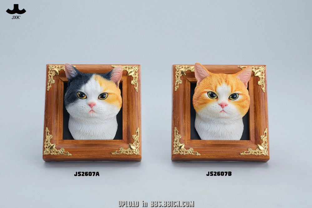 JXK - Gentle-eyed country cat JS2607 (Licensed)