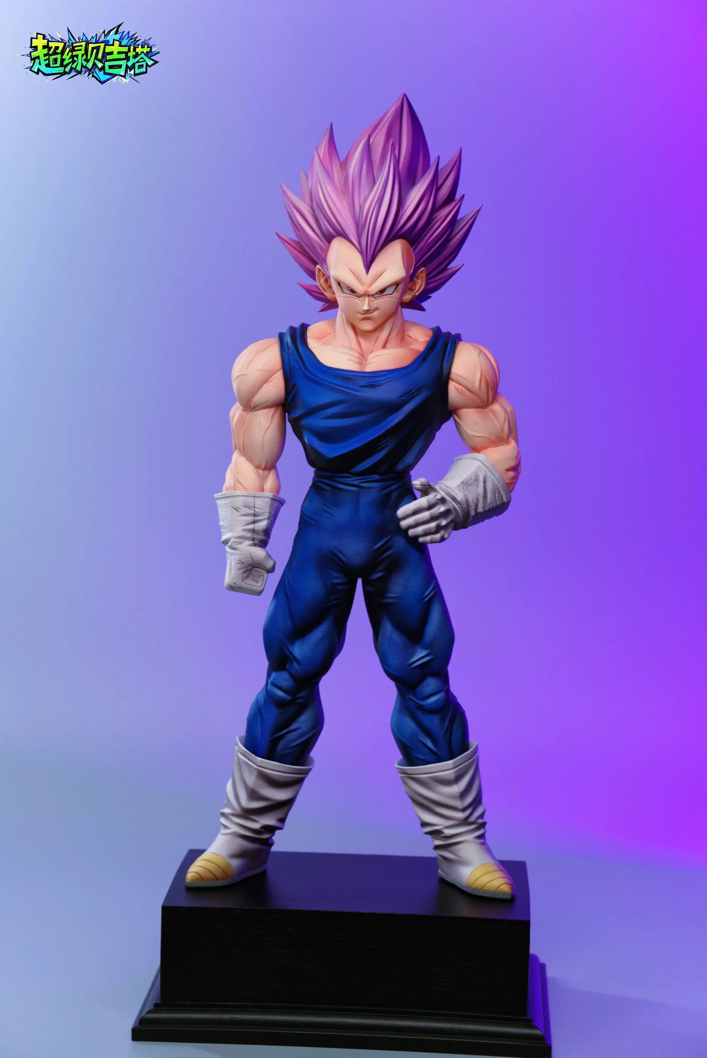 【Pre-sale】1/6 and 1/4 Scale Self Vegeta-Dragon Ball-WJT Studio