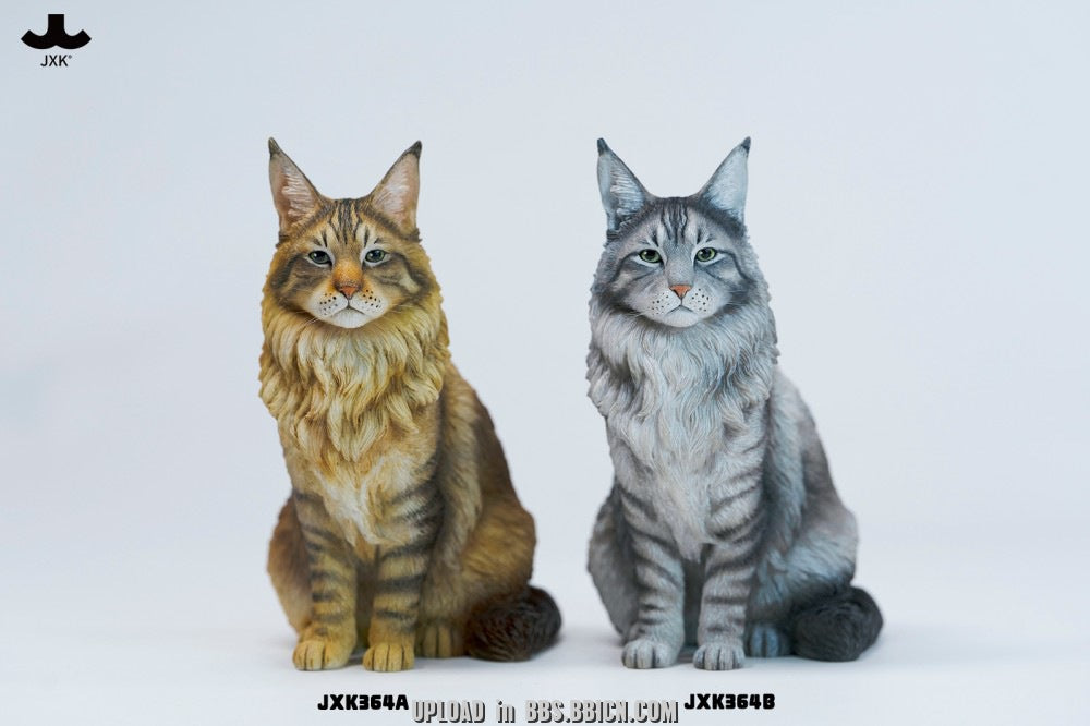 JXK - Sitting upright Maine Coon cat JXK364 (Licensed)