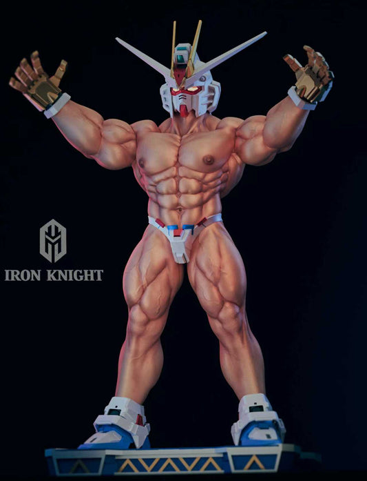 【Pre-sale】1/6 Scale 002 Freedom Warrior-Iron Knight Studio