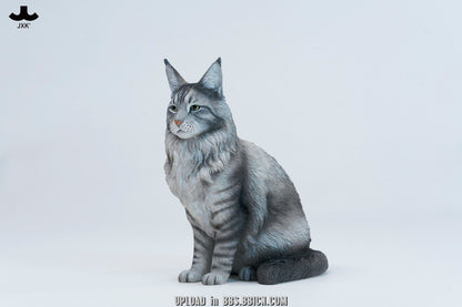 JXK - Sitting upright Maine Coon cat JXK364 (Licensed)
