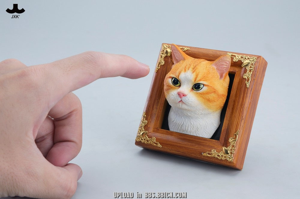 JXK - Gentle-eyed country cat JS2607 (Licensed)