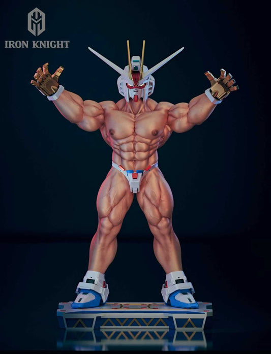 【Pre-sale】1/6 Scale 002 Freedom Warrior-Iron Knight Studio