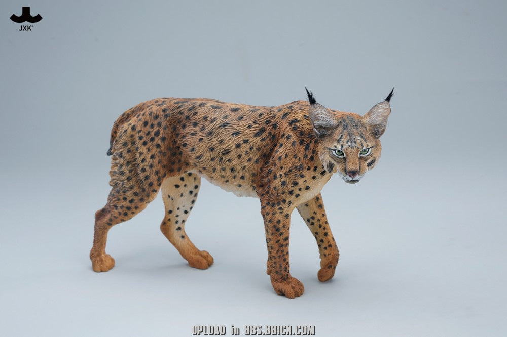 JXK - Lynx JXK361 (Licensed)