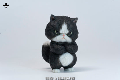 JXK-Bang Bang Ba Ba Cat-JXK369A/B/C/D