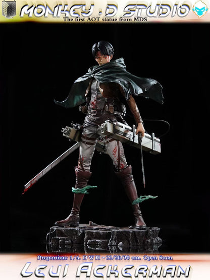 Monkey D Studio - Levi Ackerman | 利威尔·阿克曼