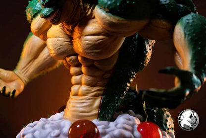 Martial Arts Studio - Shenron Porunga | 神龙波伦伽