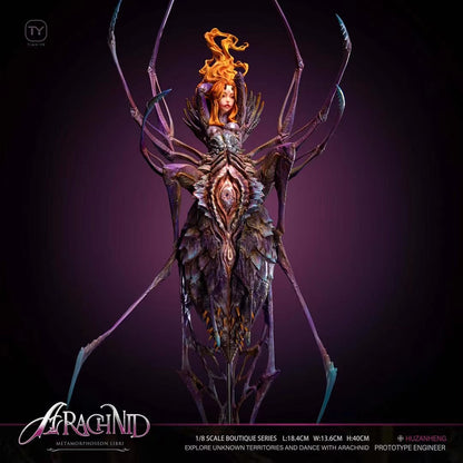 Tian Ye Studio - OC Spider Arachnid | OC 蜘蛛 Arachnid