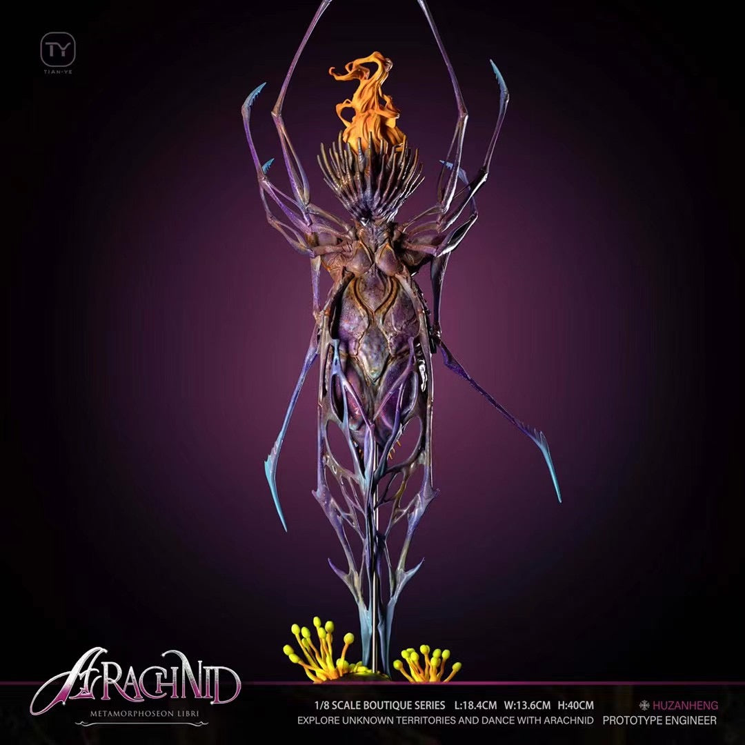 Tian Ye Studio - OC Spider Arachnid | OC 蜘蛛 Arachnid