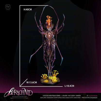 Tian Ye Studio - OC Spider Arachnid | OC 蜘蛛 Arachnid