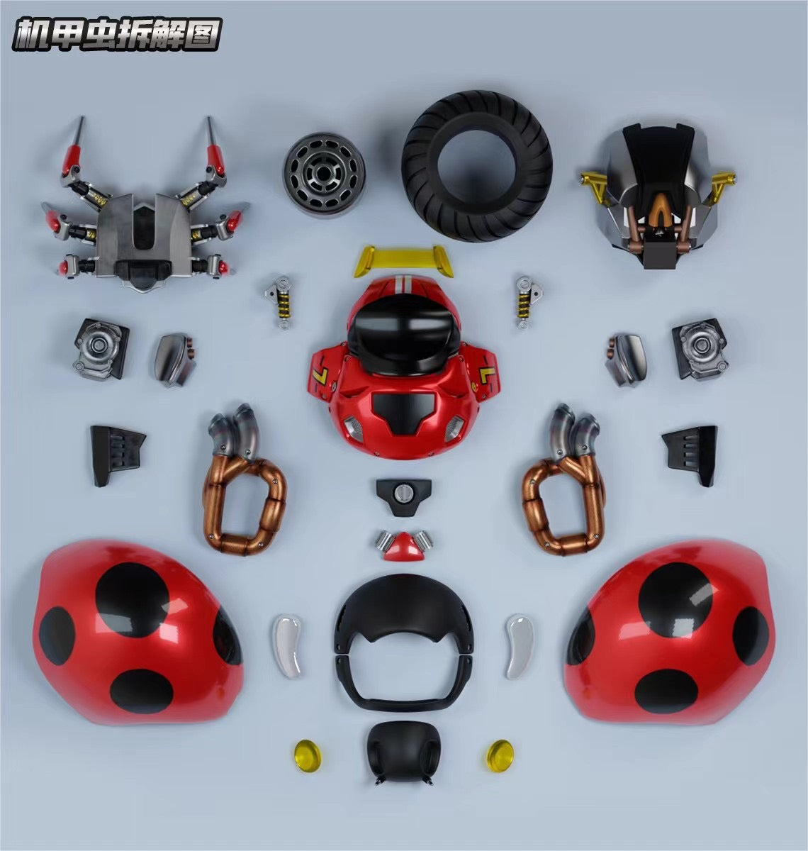 Kong Species - Ladybugs | 甲虫