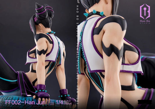Hao Bo Studio - Street Fighter Han Juri | Strata batalanto Han Juri