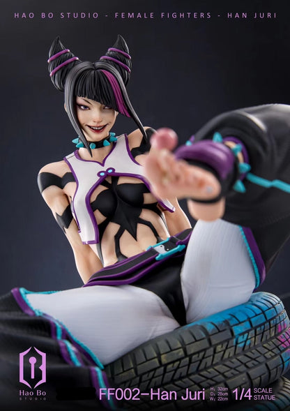 Hao Bo Studio - Street Fighter Han Juri | 街头霸王 韩蛛俐