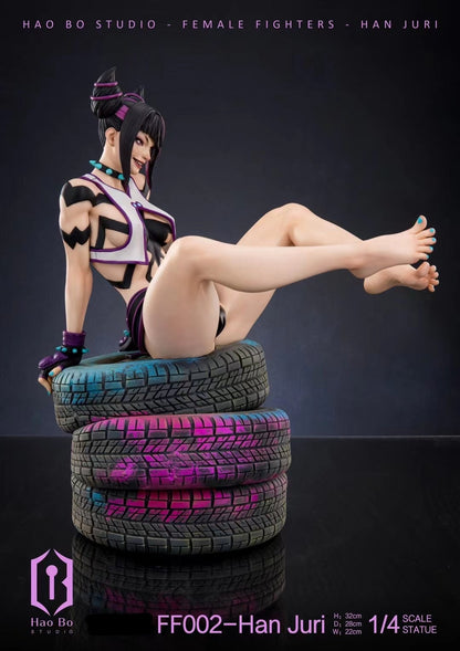 Hao Bo Studio - Street Fighter Han Juri | 街头霸王 韩蛛俐