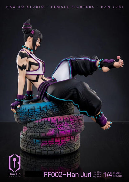Hao Bo Studio - Street Fighter Han Juri | 街头霸王 韩蛛俐