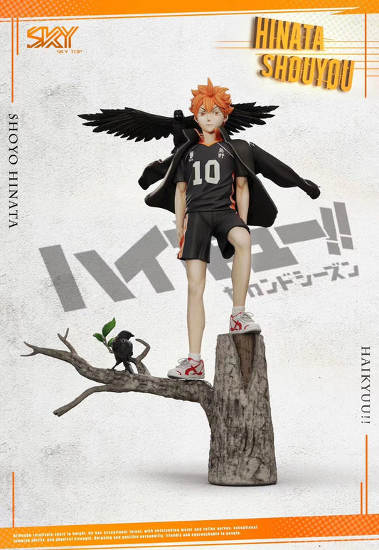 Sky Top Studio - Shoyo Hinata | 日向翔阳