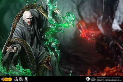 Warner Bros x MGL Paladin - Licensed Harry Potter vs Lord Voldemort | 版权 哈利波特 vs 伏地魔