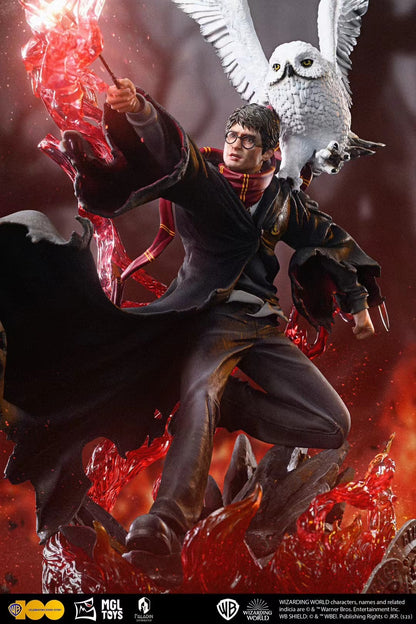Warner Bros x MGL Paladin - Licensed Harry Potter vs Lord Voldemort | 版权 哈利波特 vs 伏地魔
