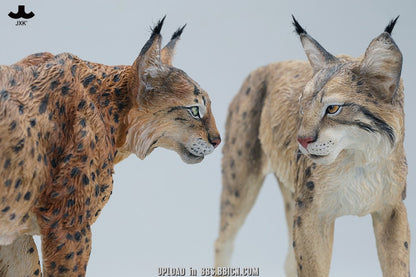 JXK - Lynx JXK361 (Licensed)