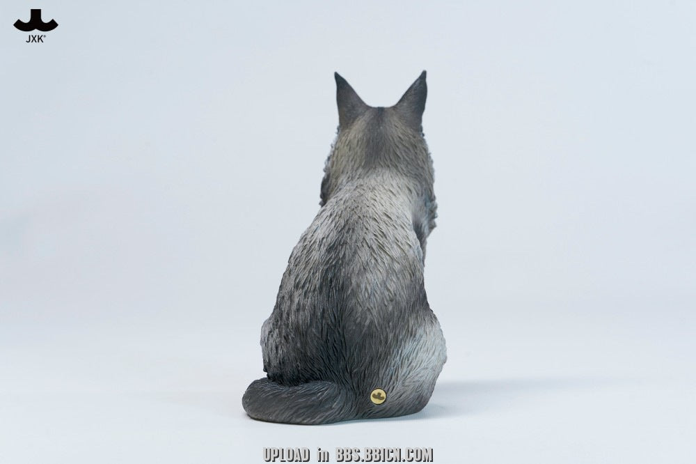 JXK - Sitting upright Maine Coon cat JXK364 (Licensed)