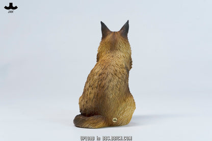 JXK - Sitting upright Maine Coon cat JXK364 (Licensed)