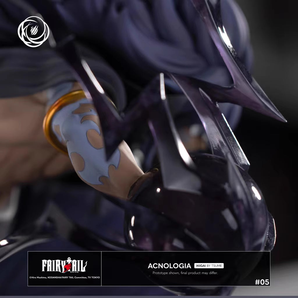 【Sold out】Acnologia-Fairy Tail-Tsume Ikigai Studio