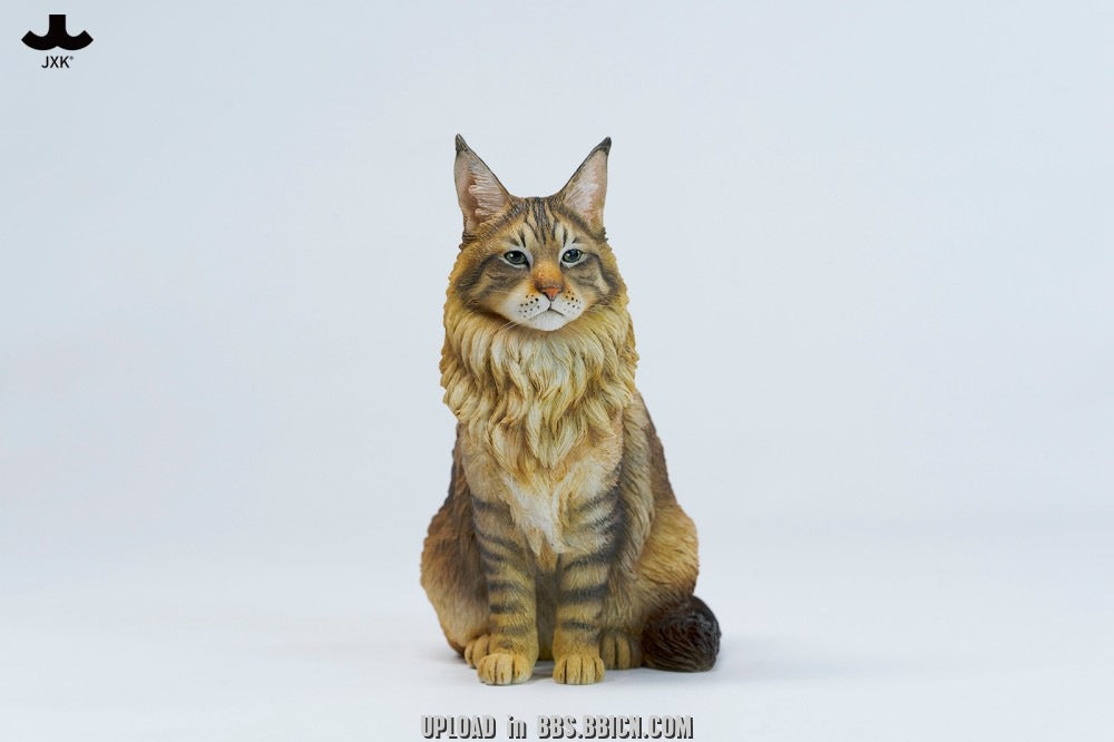 JXK - Sitting upright Maine Coon cat JXK364 (Licensed)