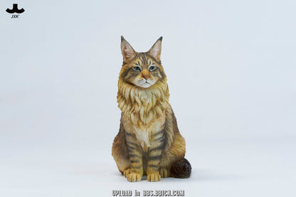JXK - Sitting upright Maine Coon cat JXK364 (Licensed)