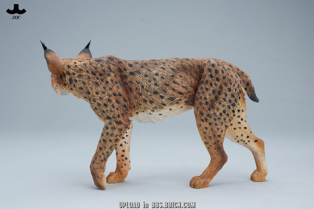 JXK - Lynx JXK361 (Licensed)