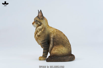 JXK - Sitting upright Maine Coon cat JXK364 (Licensed)