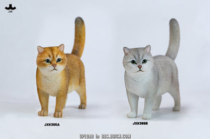 JXK - Golden and silver gradient JXK365 (Licensed)