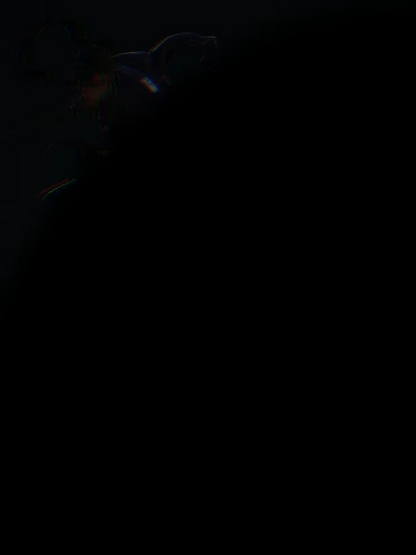 【Pre-sale】1/4 Scale Mugen and Jin-Anonymous Studio