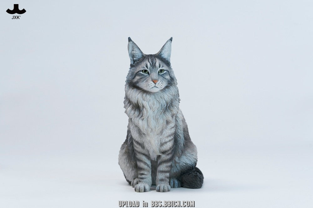 JXK - Sitting upright Maine Coon cat JXK364 (Licensed)