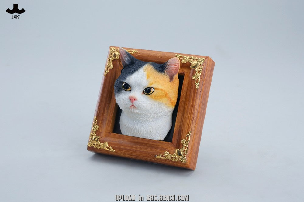 JXK - Gentle-eyed country cat JS2607 (Licensed)