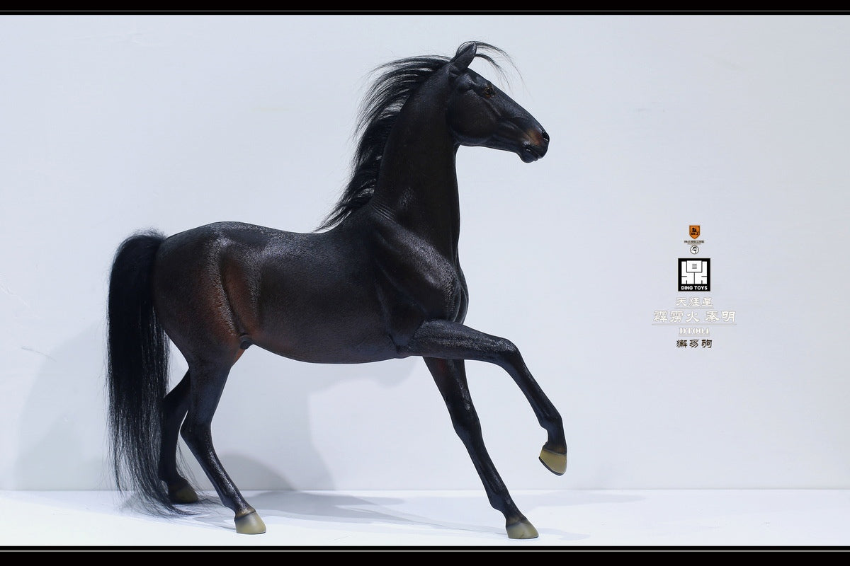 Mr.Z X DING TOYS - 1/6 DT004 The Fierce Thunderbolt Qin Ming Figure (Licensed)