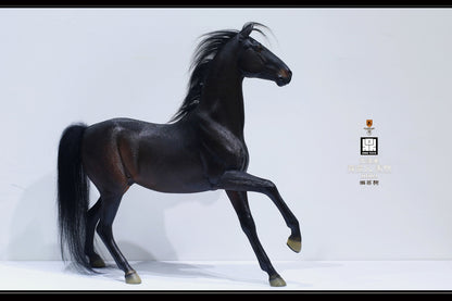 Mr.Z X DING TOYS - 1/6 DT004 The Fierce Thunderbolt Qin Ming Figure (Licensed)