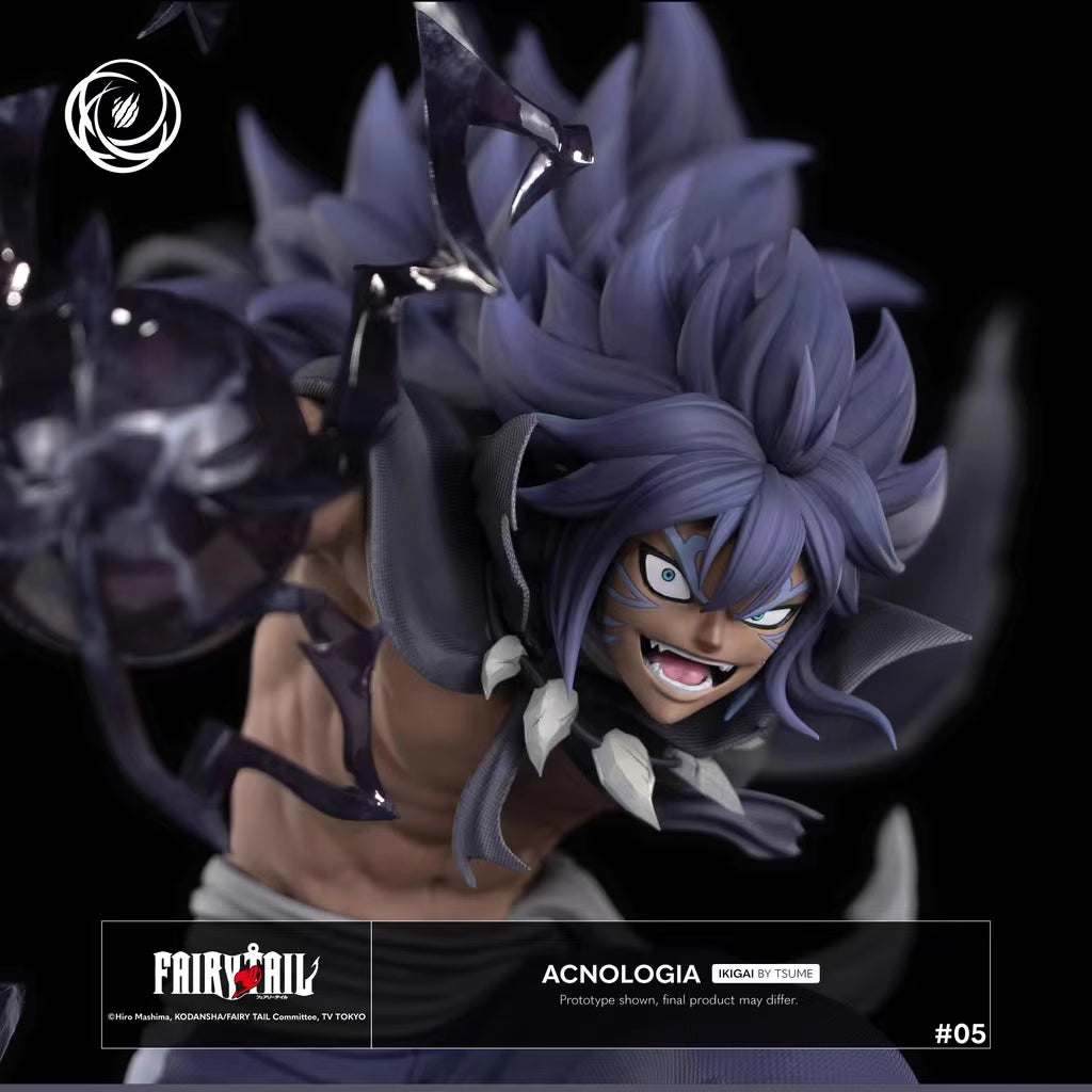 【Sold out】Acnologia-Fairy Tail-Tsume Ikigai Studio