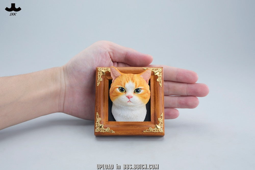 JXK - Gentle-eyed country cat JS2607 (Licensed)